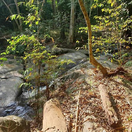 Palm Gardens Resort, Bang Saphan Ngoại thất bức ảnh